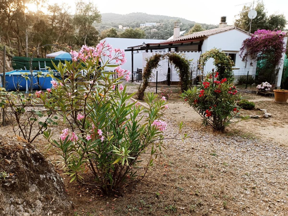 Chalet En Entorno Natural De La Costa Brava Bell-Lloc  外观 照片